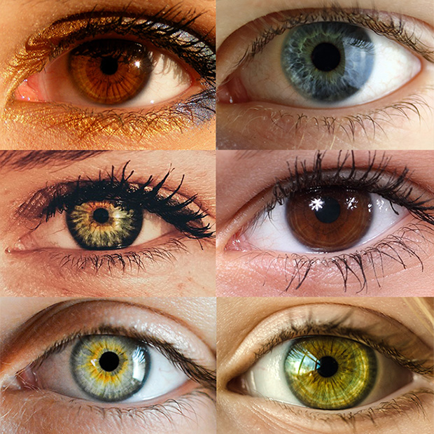 Eye Color Trivia – Auburn IN | Vision Source Innovative Eye Care